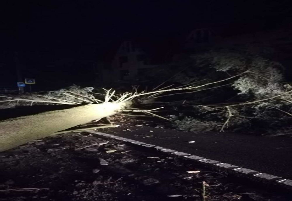 Incendii de vegetație și copaci rupți. Izolația unui bloc s-a desprins din cauza vântului 