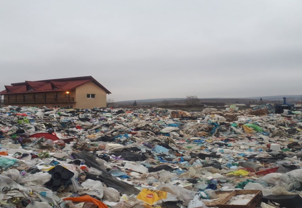 Amenzi de sute de mii de lei aplicate de Garda de Mediu Covasna în primele două luni ale anului