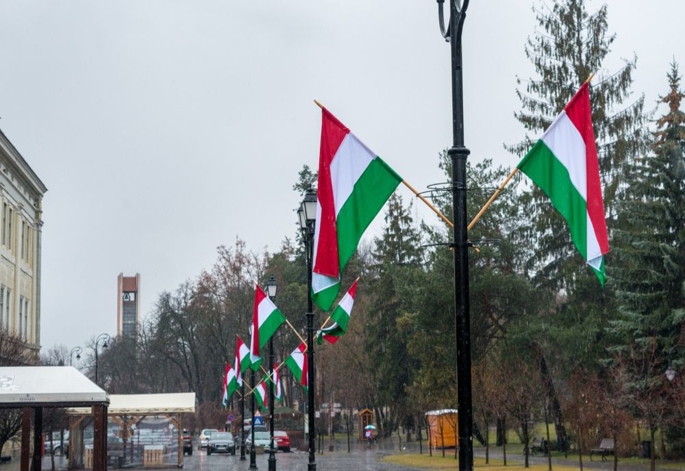 UDMR Sfântu Gheorghe condamnă amenda primită de primarul Antal Árpád pentru 15 martie. Edilul va contesta amenda 