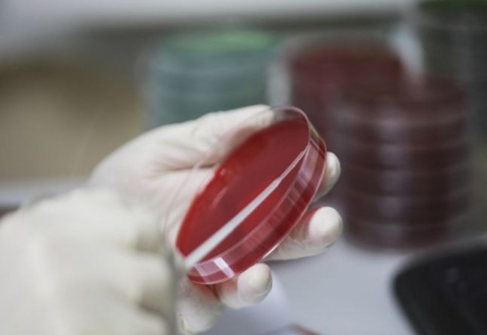 260 de români infectați cu coronavirus. 19 din cele 20 de teste prelevate în județul covasna, NEGATIVE