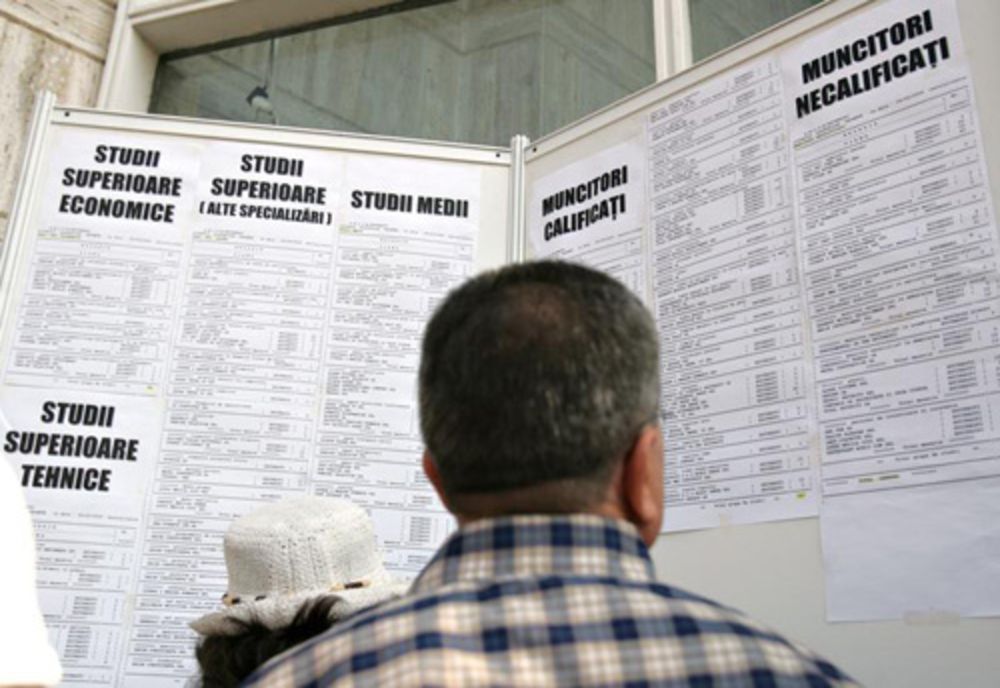 Peste 220 de persoane angajate prin intermediul AJOFM  Covasna