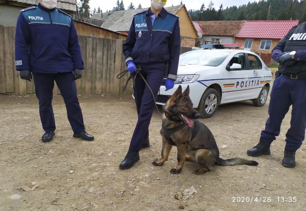 Amenzi totale de peste 123.000 lei în week-end, în urma controalelor din județul Covasna