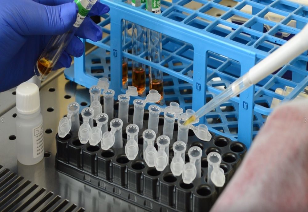 12 cazuri noi de Covid-19 în județul Covasna. Bilanțul ajunge la 91 de persoane infectate