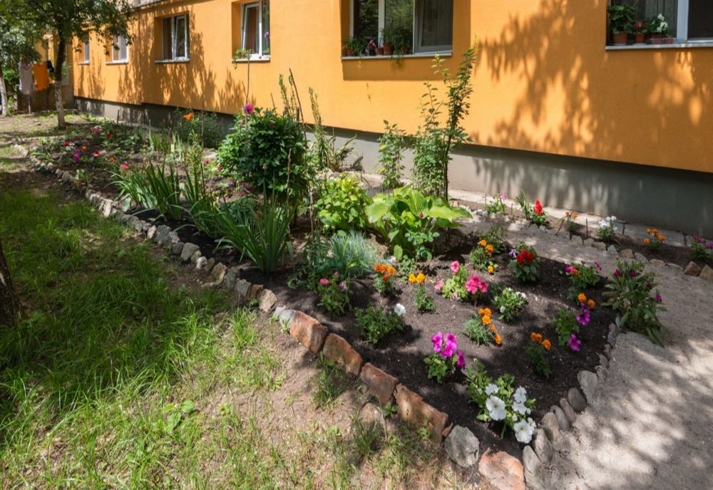 Mai sunt două săptămâni pentru înscrierea în Programul de înfrumuseţare a zonelor verzi