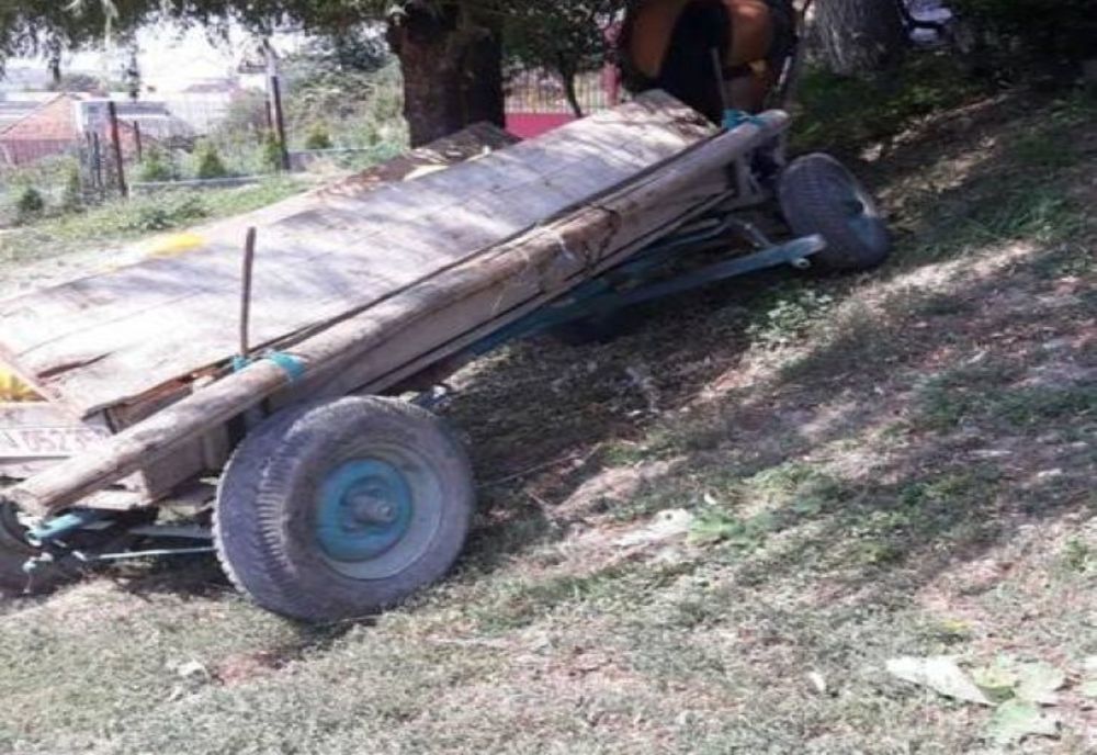 Copil de 8 ani căzut din căruță într-un pârâu, la Araci