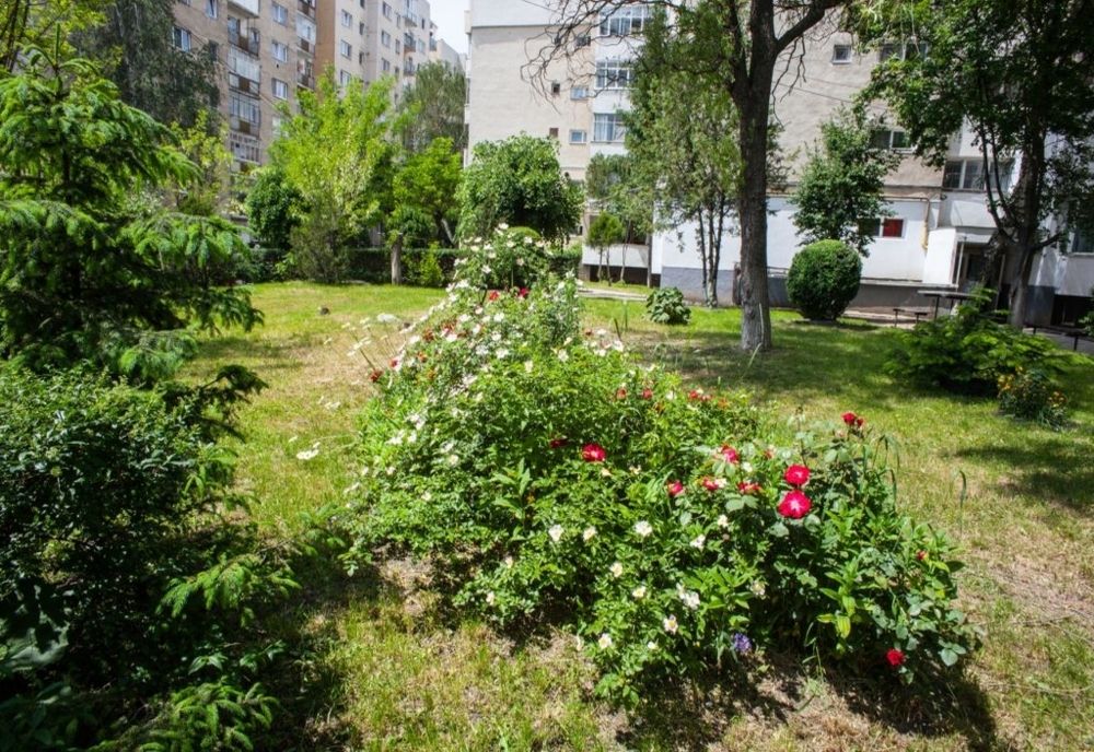 Garda de Mediu Covasna începe controalele la spațiile verzi din municipii