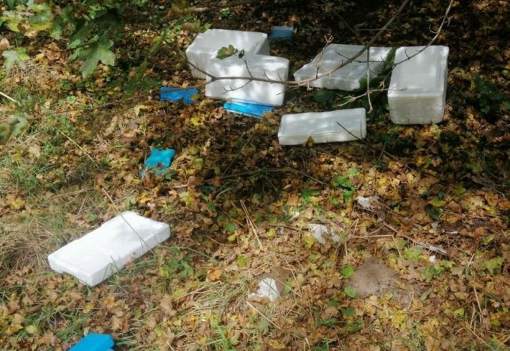 Deşeuri medicale aruncate lângă Sfântu Gheorghe