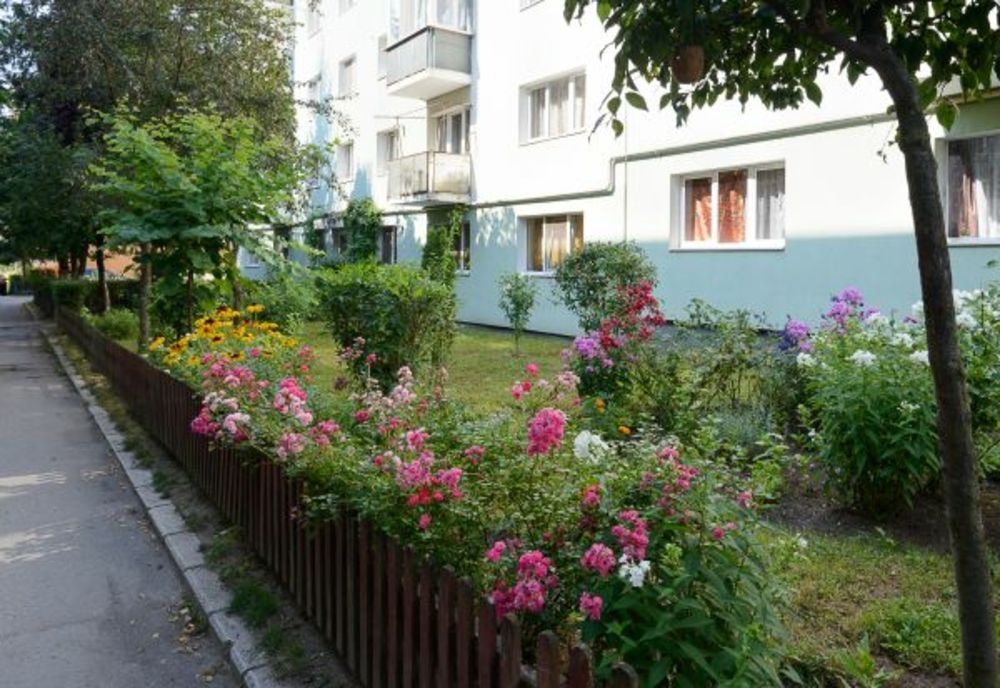 Primăria Sfântu Gheorghe susține înfrumusețarea spațiilor verzi din zonele rezidențiale