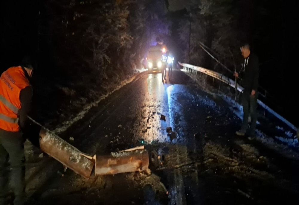 Copaci căzuți pe carosabil din cauza vremii nefavorabile, în județul Covasna!