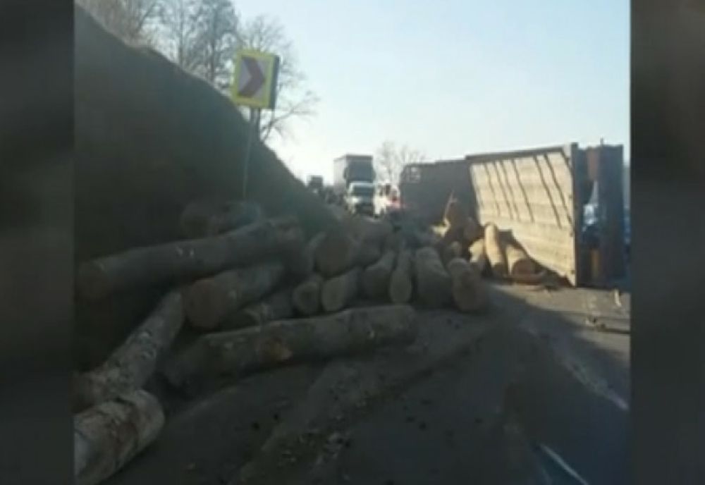 4 bărbați prinși în timp ce transportau lemne fără documente