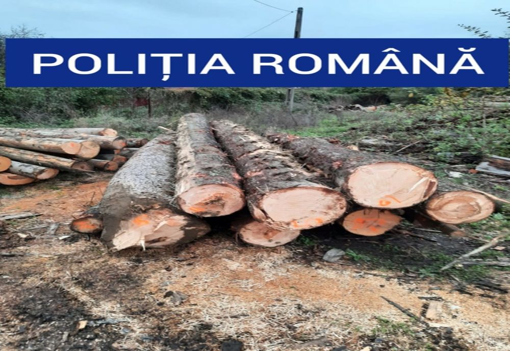 Amendă de 5.000 de lei pentru un operator economic din Sfântu Gheorghe