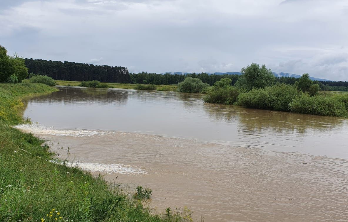 FOTO Intervenții ale pompierilor covăsneni