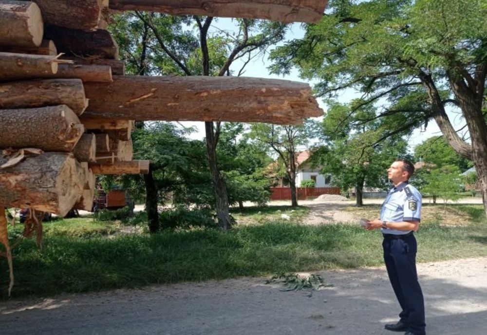 Amplă acțiune a polițiștilor din Covasna