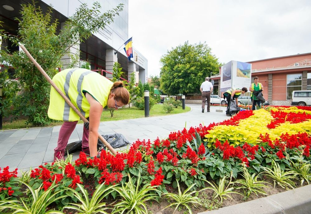 Se reabilitează piețele și spațiile verzi din Sfântu Gheorghe