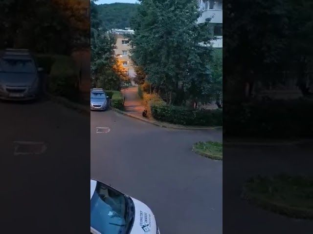 VIDEO Cum arată, acum, Sepsi Arena?