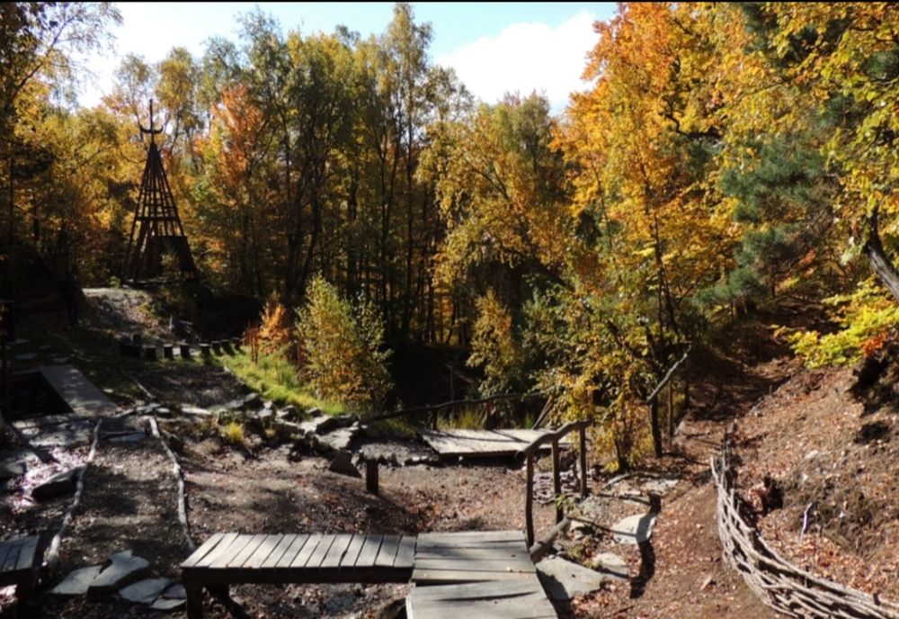 Activități de promovare a resurselor medicale din județul Covasna