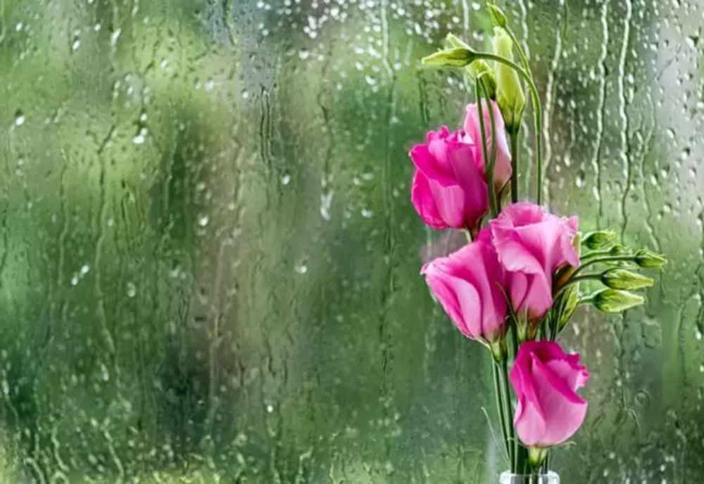 Vremea 27 mai. Temperaturi ridicate în toată România - Unde sunt furtuni și ploi torențiale