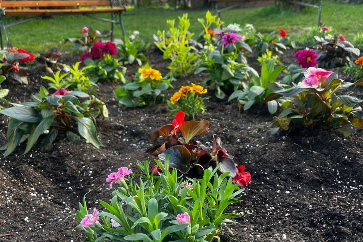 INIȚIATIVE PENTRU UN MEDIU MAI CURAT ȘI O COMUNITATE UNITĂ: ȘCOALA HENTER KÁROLY DIN BODOC A INAUGURAT RADIOUL ȘCOLII ȘI A PLANTAT FLORI ÎN SĂPTĂMÂNA VERDE