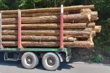 Covasna: Camion cu lemne răsturnat la Lemnia; trafic blocat pe DN 11