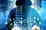 Haos online la primăriile din Covasna. Mai multe site-uri au picat, iar poliția verifică un posibil atac cibernetic