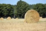 ITM Covasna a aplicat avertismente pentru nereguli de securitate în agricultură