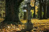 Care e explicația pentru sacii cu oase umane descoperiți într-un cimitir din Slatina