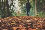 Prognoza ANM pentru următoarele patru săptămâni. Cum se schimbă vremea la începutul lunii octombrie