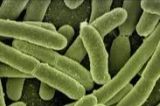 Apă contaminată cu E-Coli în Covasna