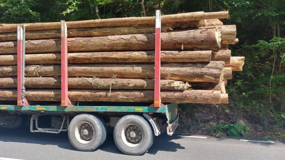 Camion cu lemne