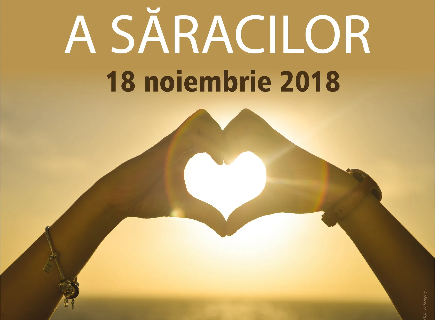 Ziua Mondiala a Saracilor