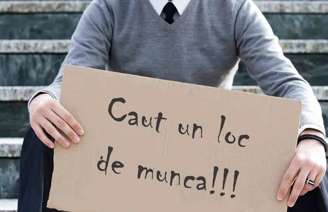 locuri de munca