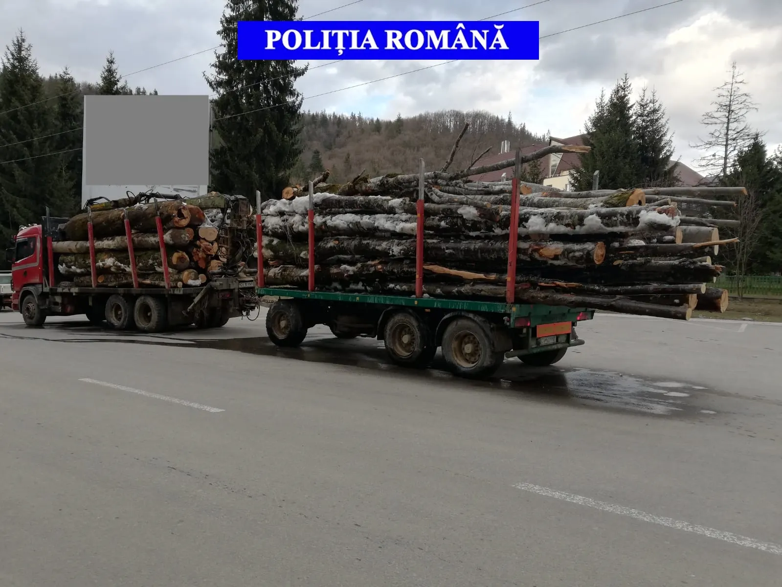 Actiune silvica Covasna martie 2019 - 02