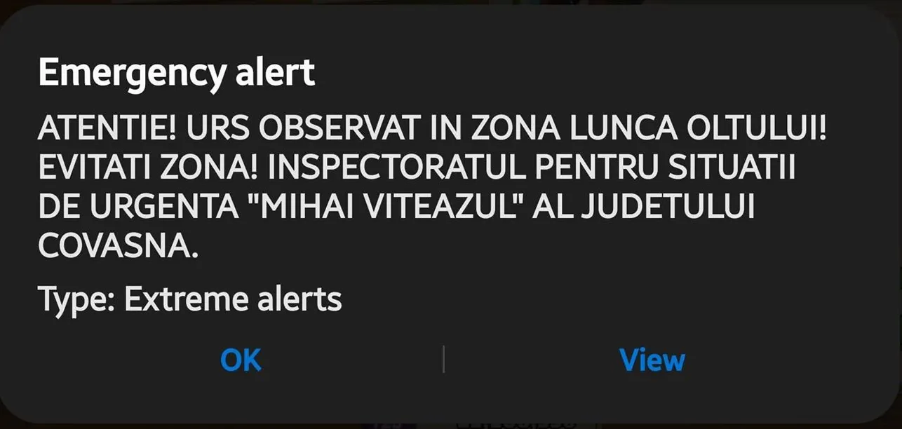Alarma Ro-Alert urs