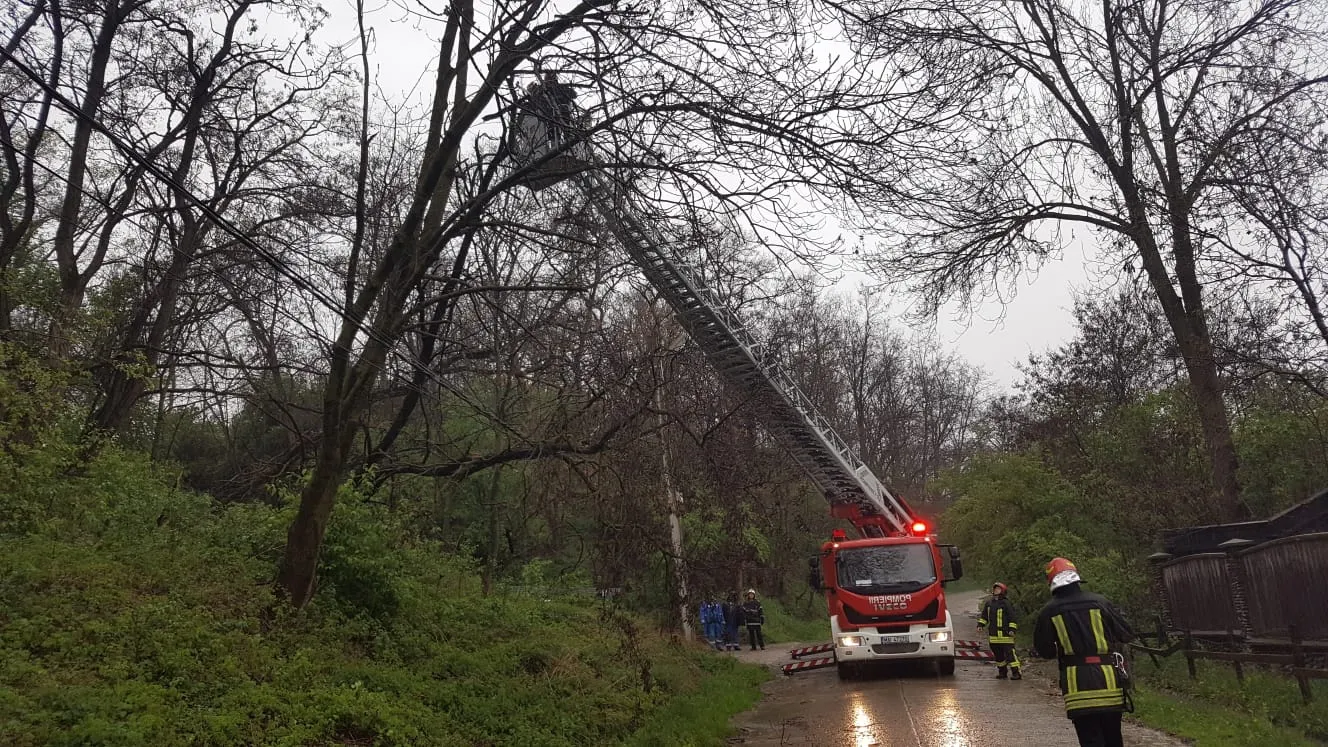 rețeaua electrică Ilieni