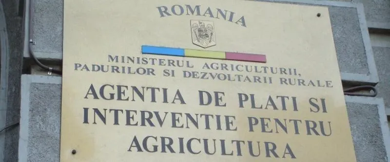 apia
