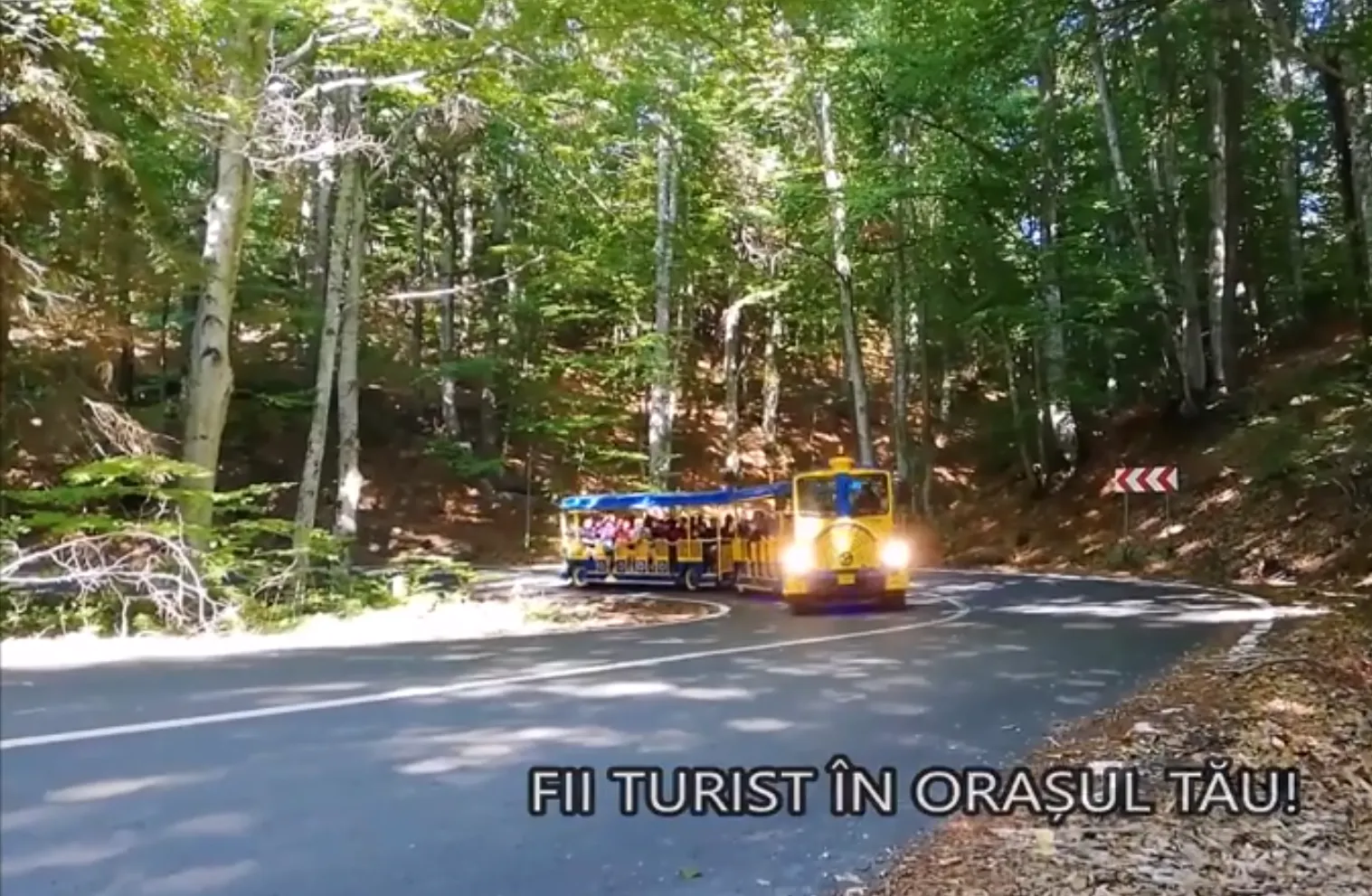 Trenuleț