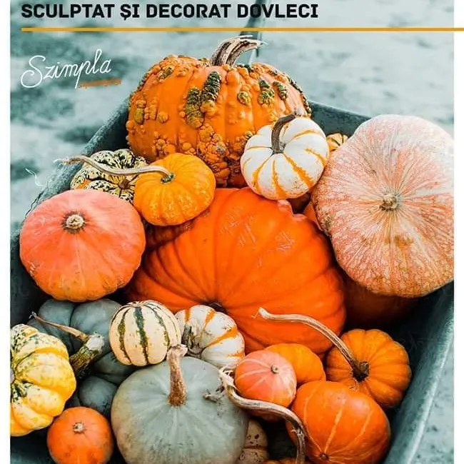 dovleac