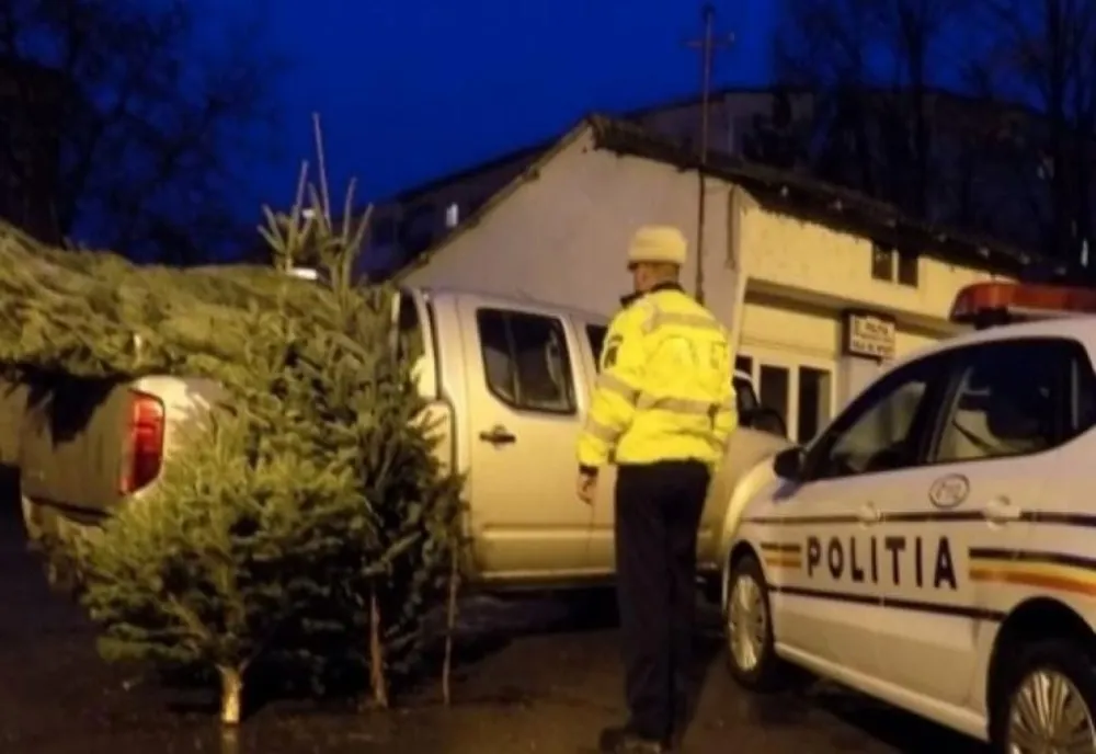 Amenzi și brazi confiscați după o acțiune a IPJ Covasna
