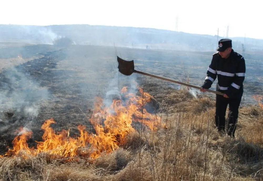 Amenzi de până la 50.000 lei pentru cei care incendiază miriștile sau alte deșeuri vegetale!
