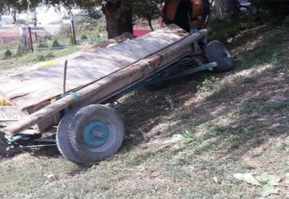 Copil de 8 ani căzut din căruță într-un pârâu, la Araci
