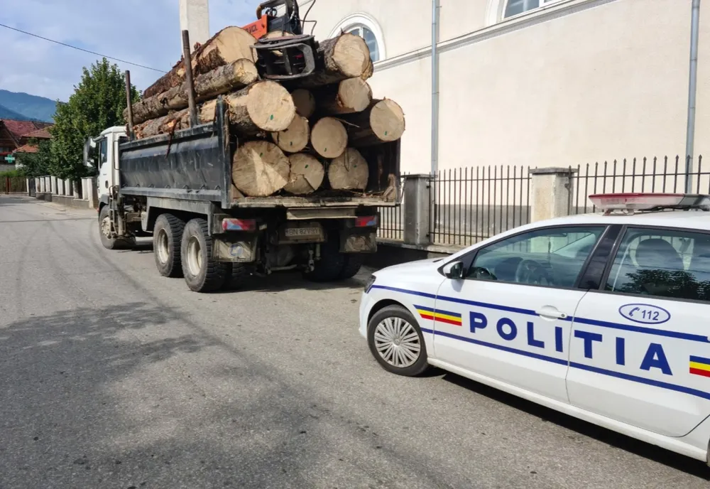 O societate care nu a trecut în acte cantitatea reală de material lemnos a fost amendată cu 10.000 de lei