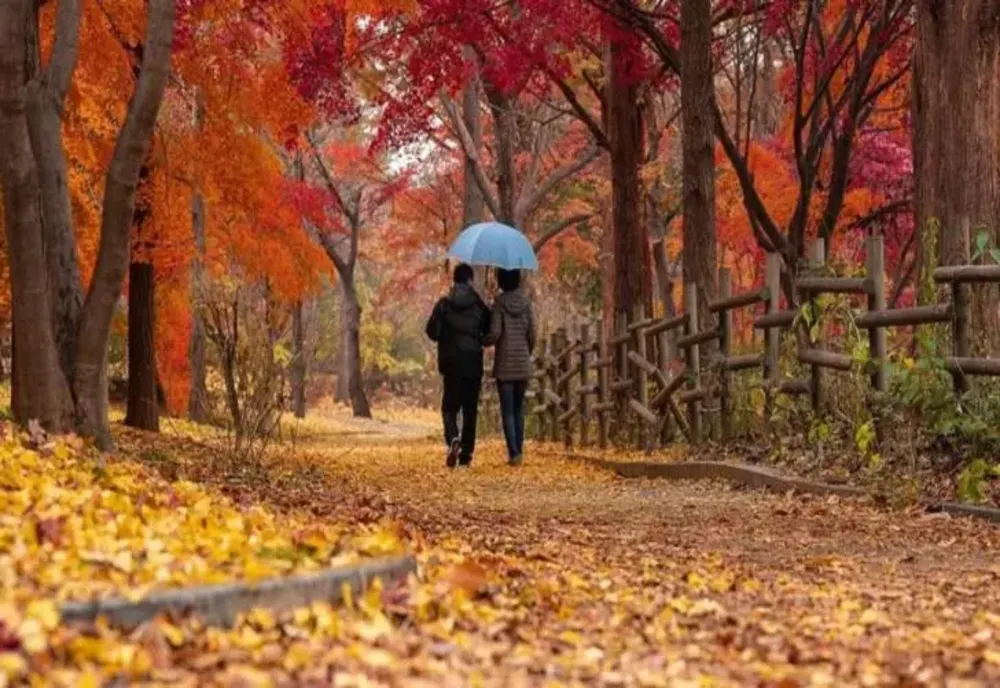 Prognoza meteo 1 decembrie. Cer noros și precipitații pe arii restrânse