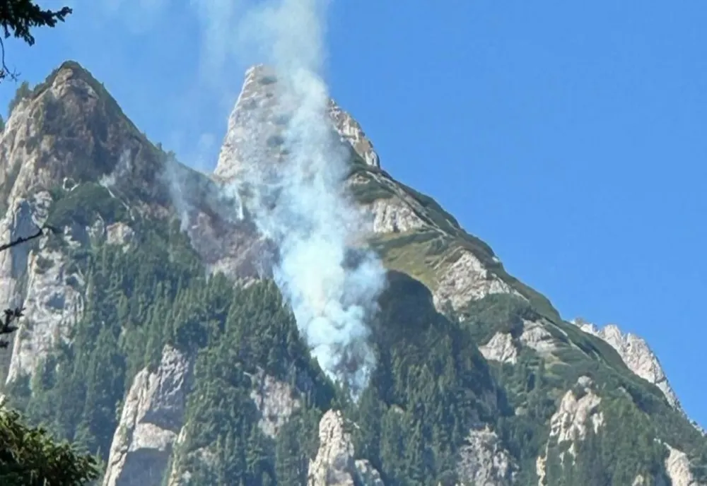 INCENDIUL DE VEGETAȚIE DIN ZONA VALEA BUJORILOR S-A REAPRINS
