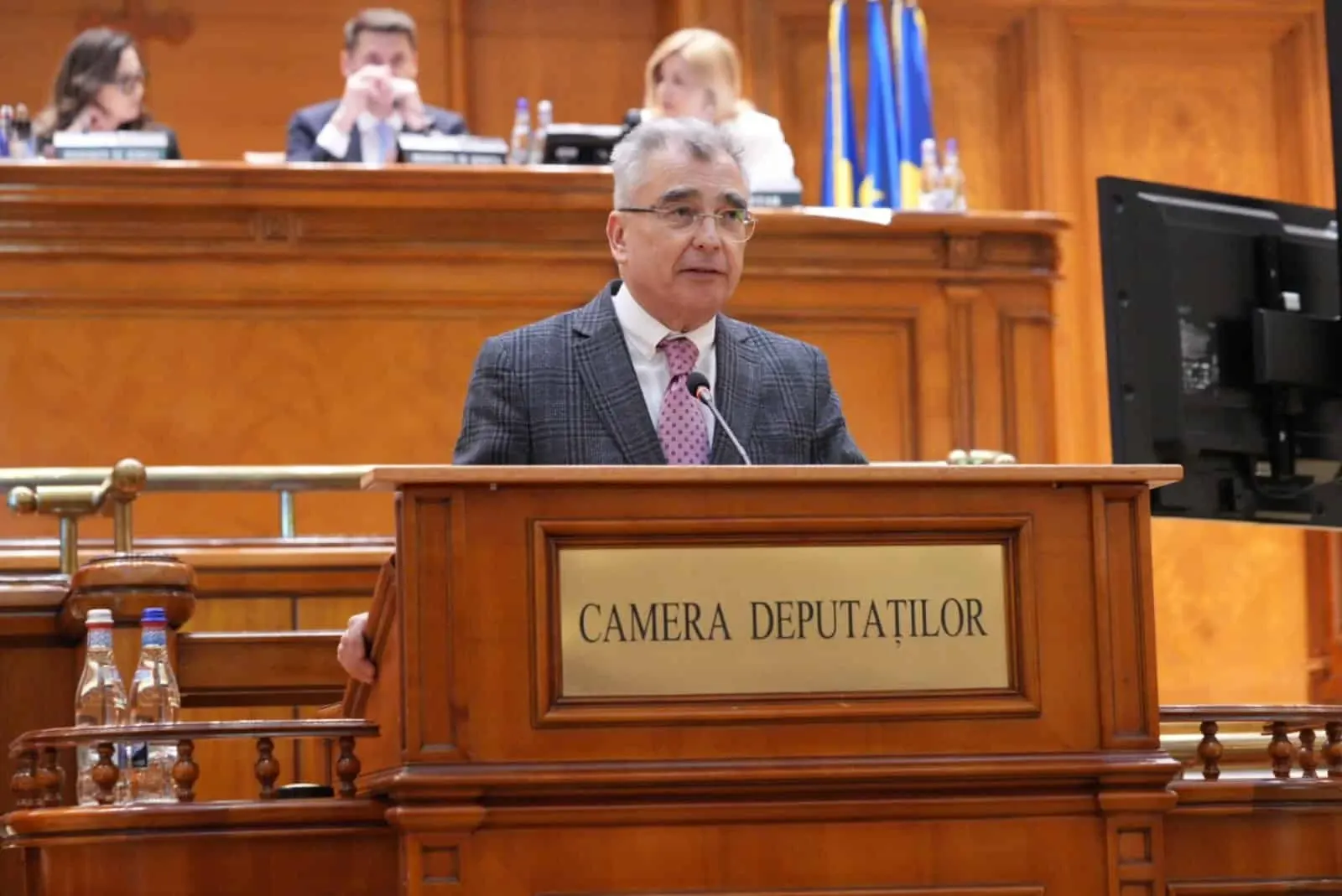Petrișor Peiu (liderul senatorilor AUR)