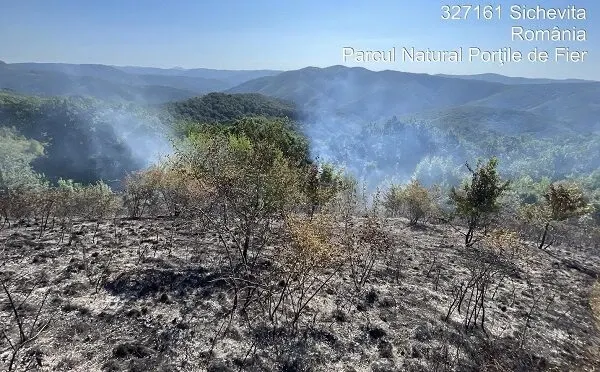 Incendii de vegetație