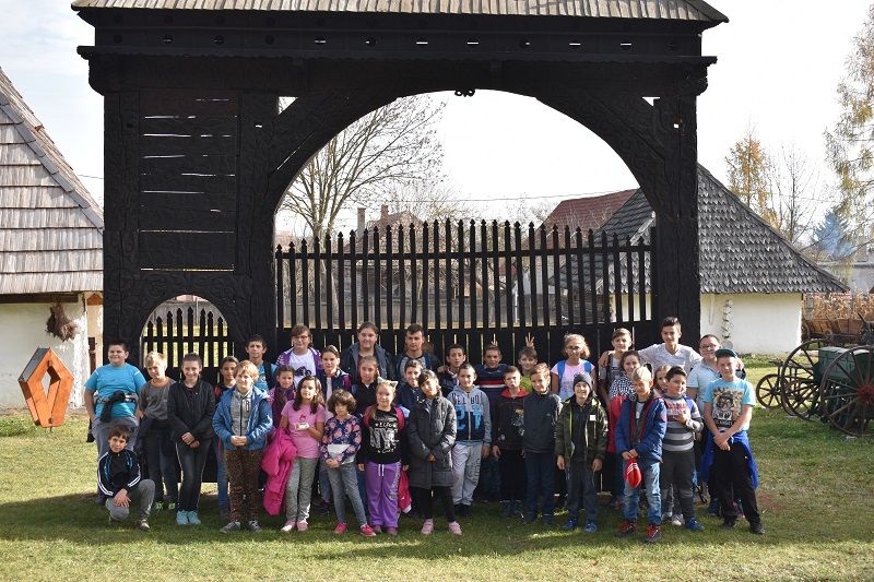 Experiență – Educație – Cultură