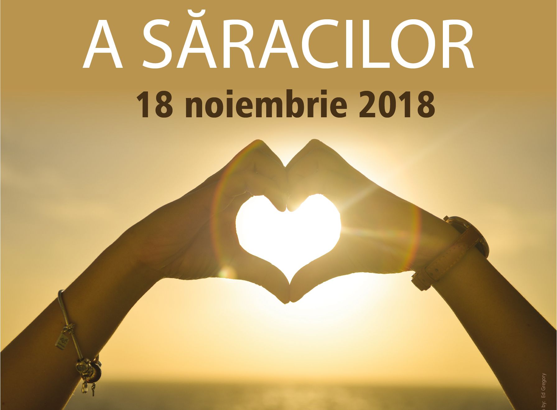 Ziua Mondiala a Saracilor