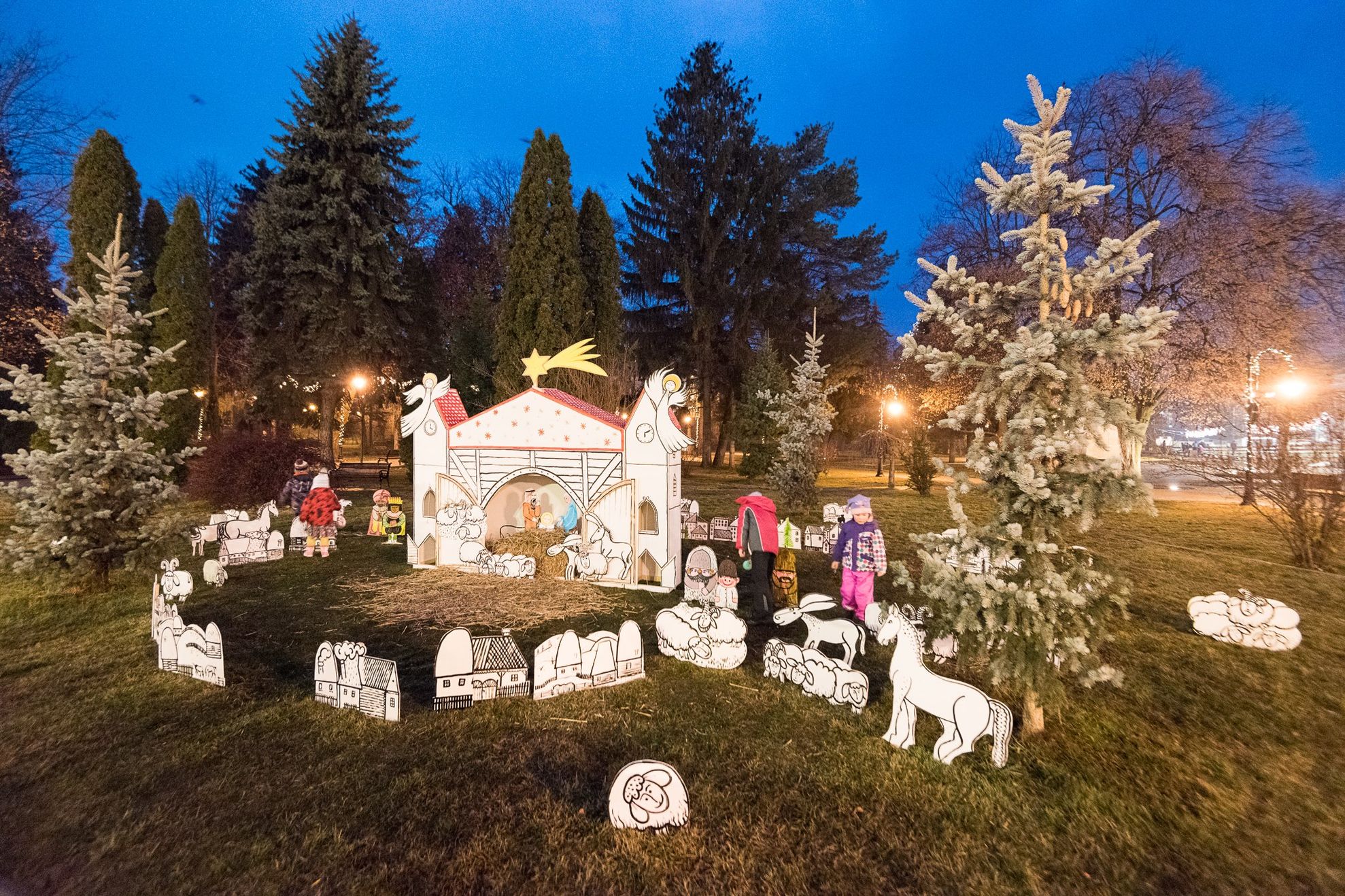 48084987_1430687307065671_911890864828055552_n