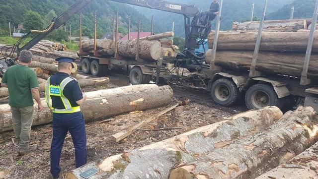 Amenzi Directia Silvica