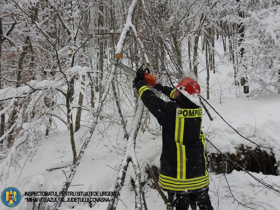 52164988_2330813043596478_4017016202516758528_n